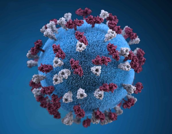 Comment se protéger contre les maladies infectieuses ?