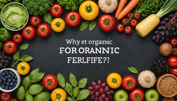 Pourquoi manger bio pour votre santé et votre bien-être ?
